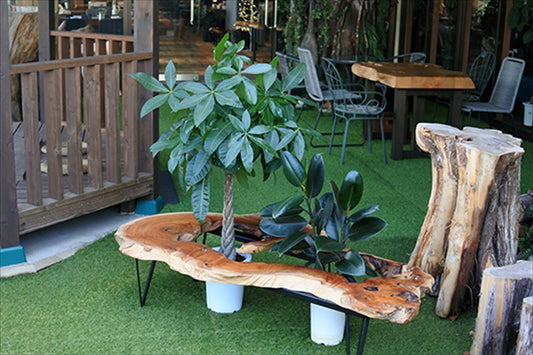 48.ケヤキ|ローテーブル