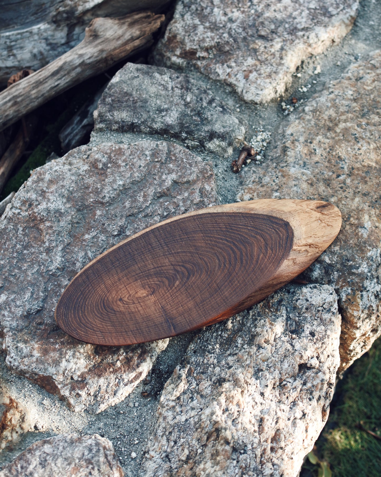 エンジュ|輪切りコースター