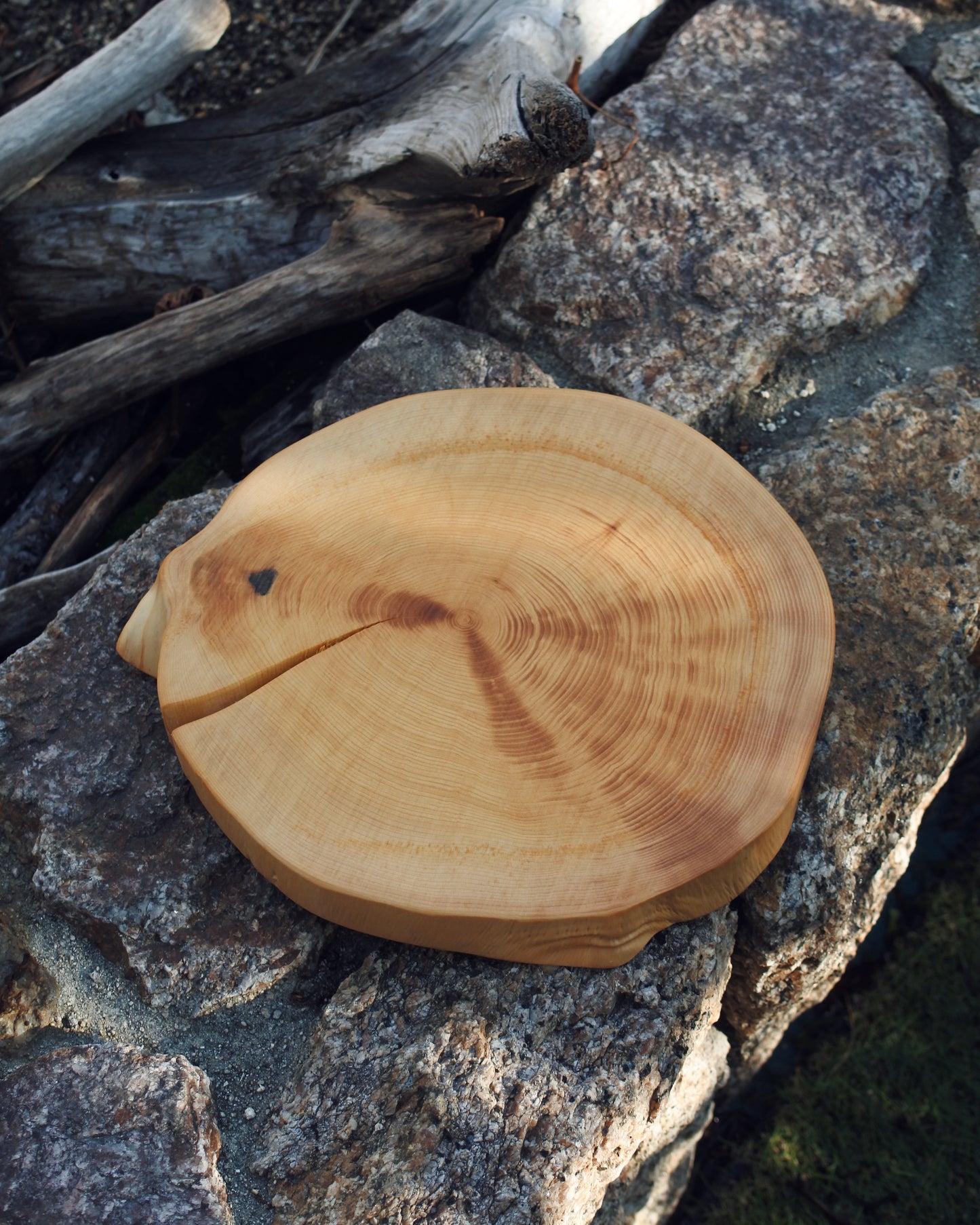 カヤ|輪切りコースター