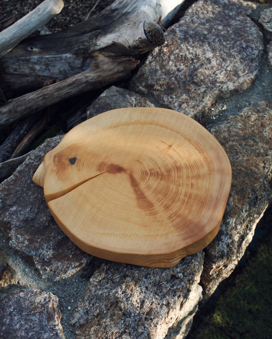 カヤ|輪切りコースター