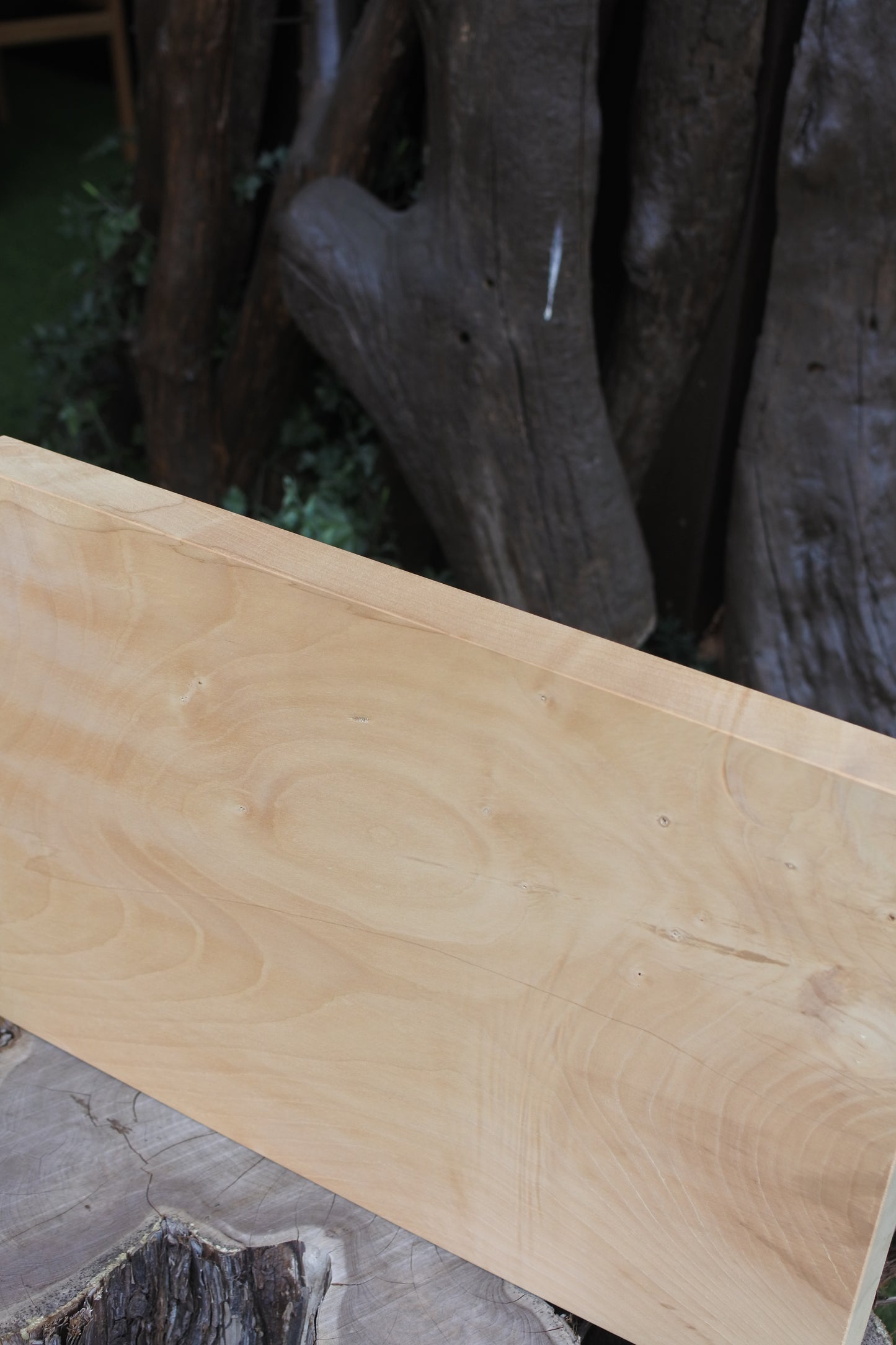 いちょう|極上まな板 長方形