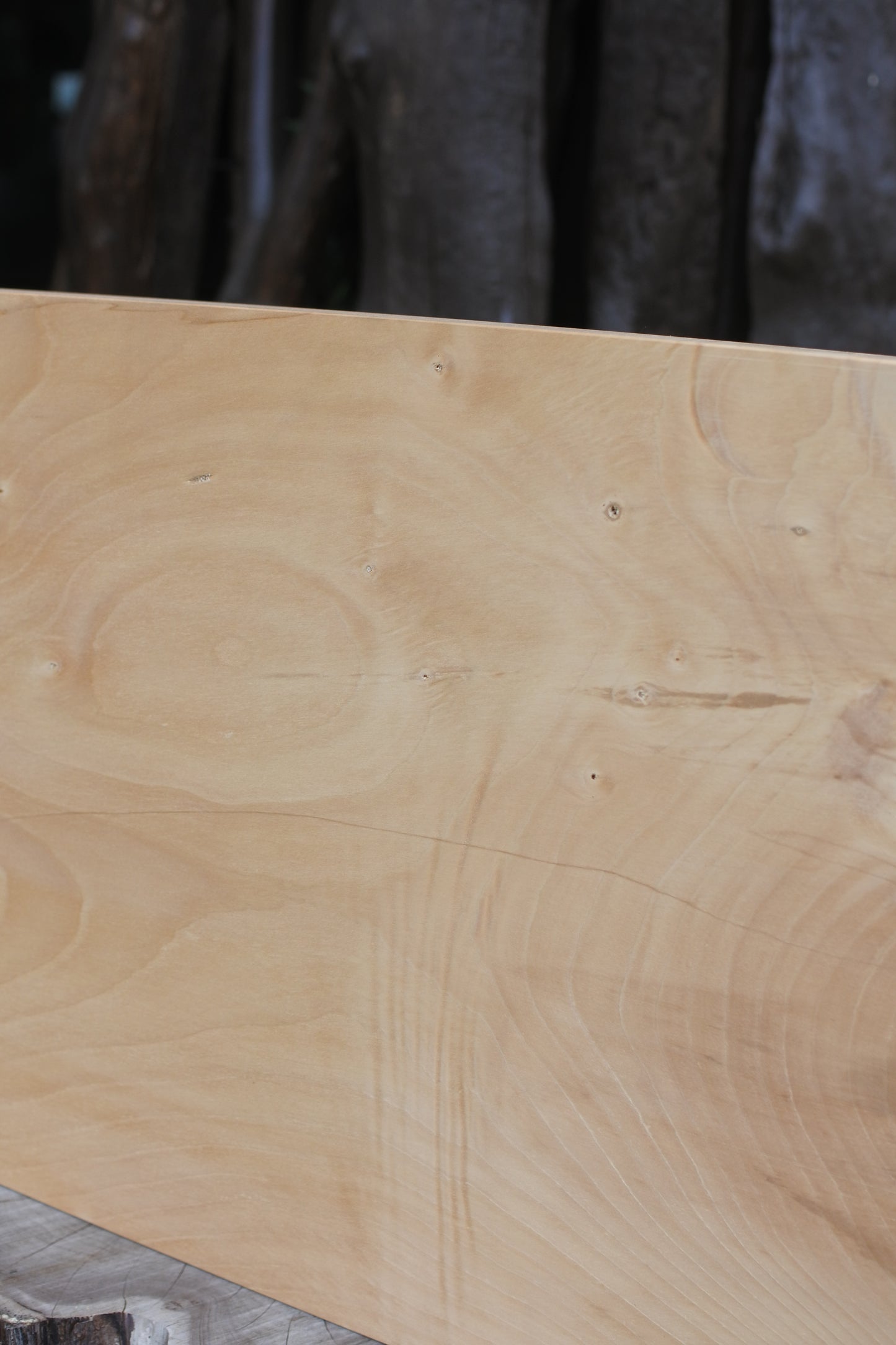 いちょう|極上まな板 長方形