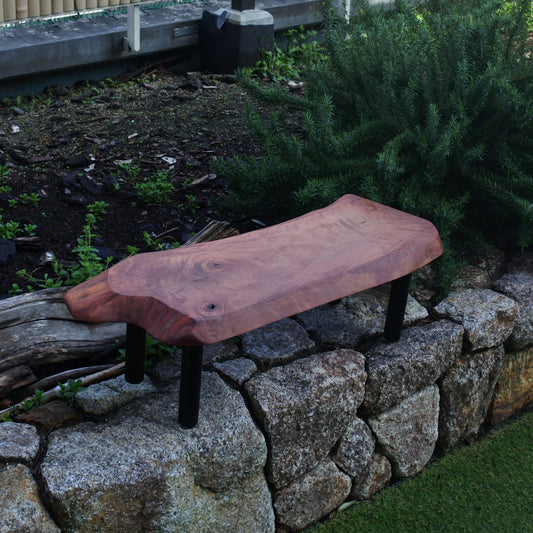 46.カゴノキ|ローテーブル