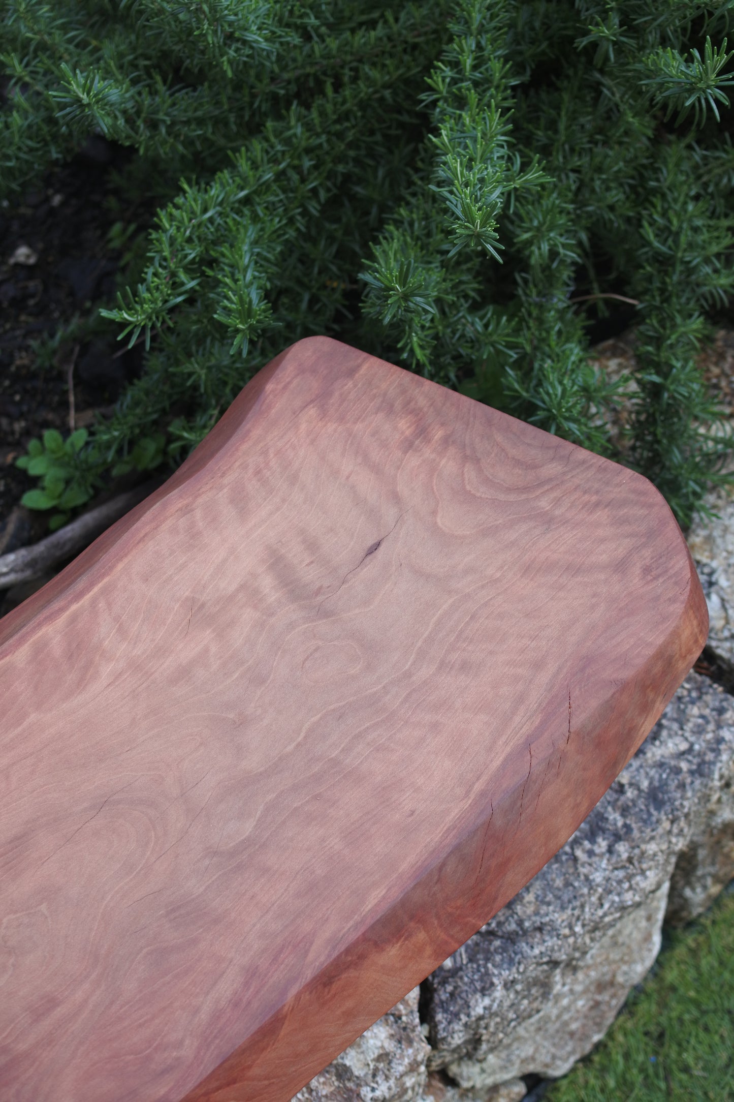 カゴノキ|ローテーブル