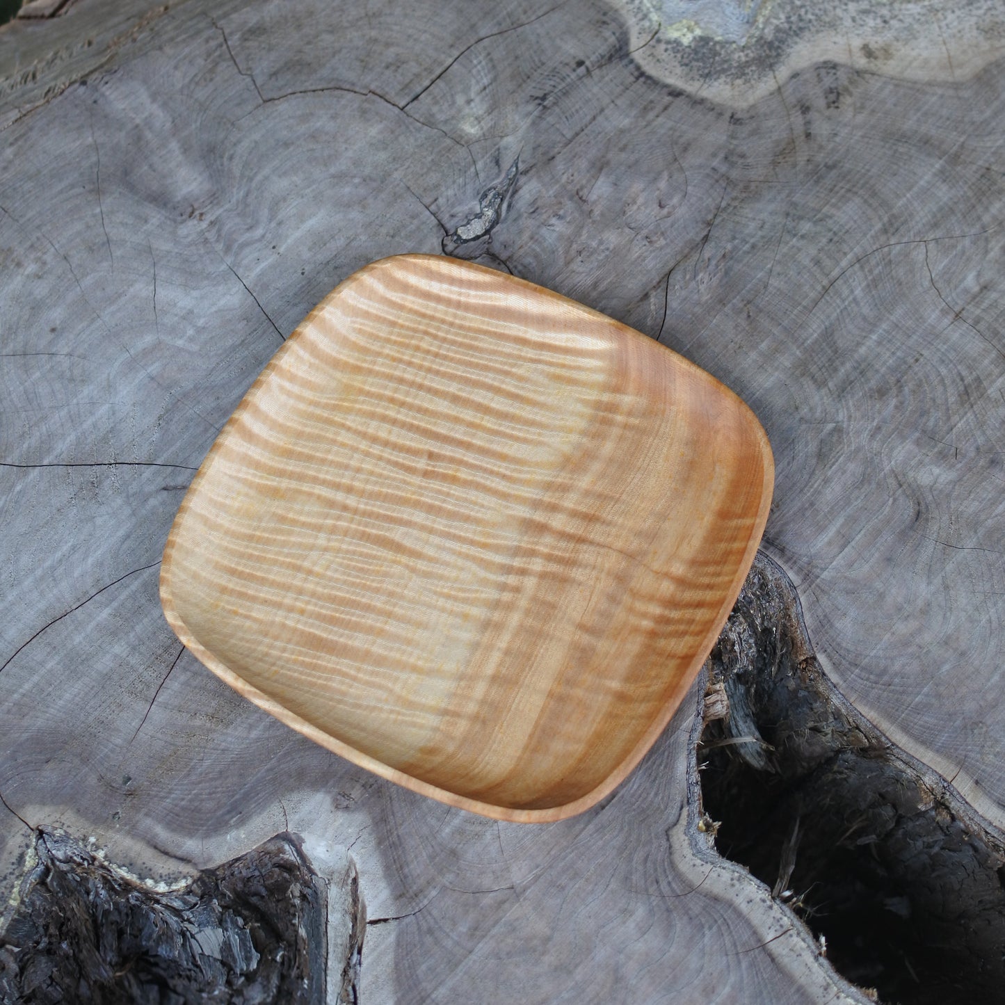 トチ|四角皿
