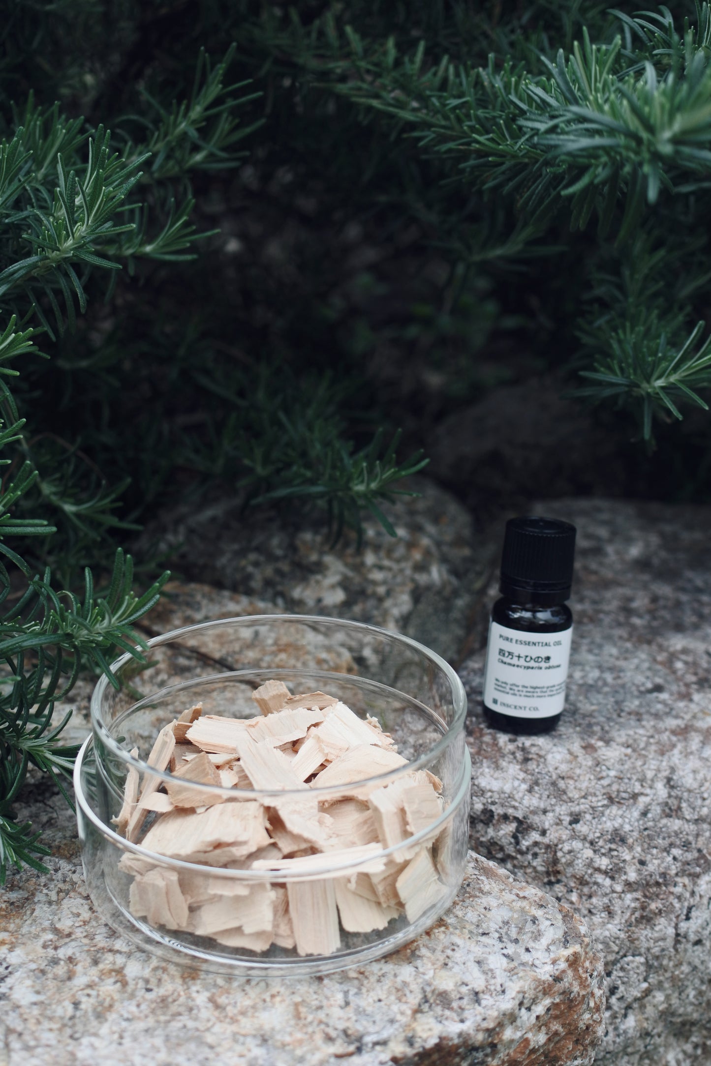 丹波ひのきチップ|アロマディフューザーセット