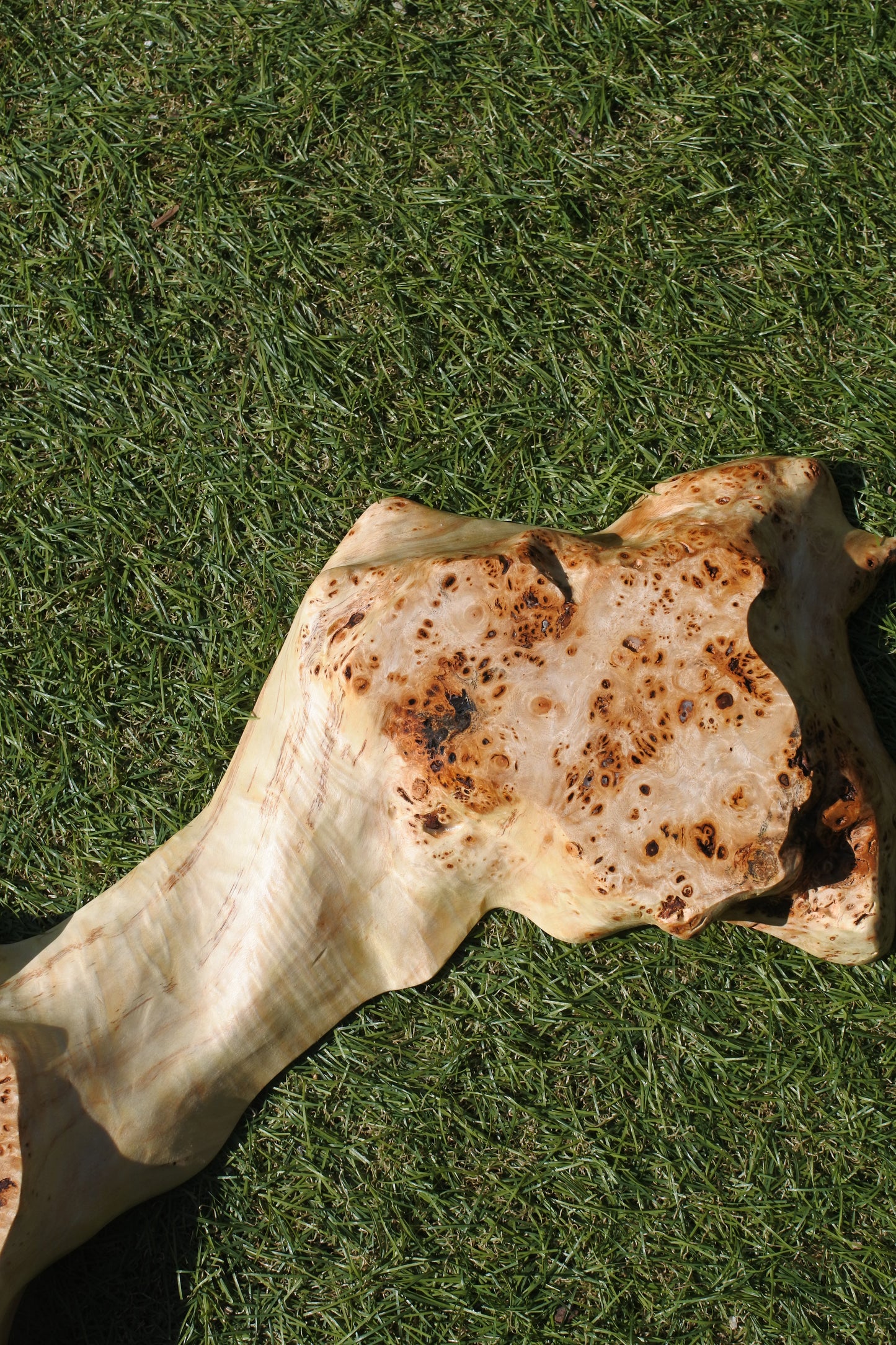 瘤杢ポプラ|一枚板時計