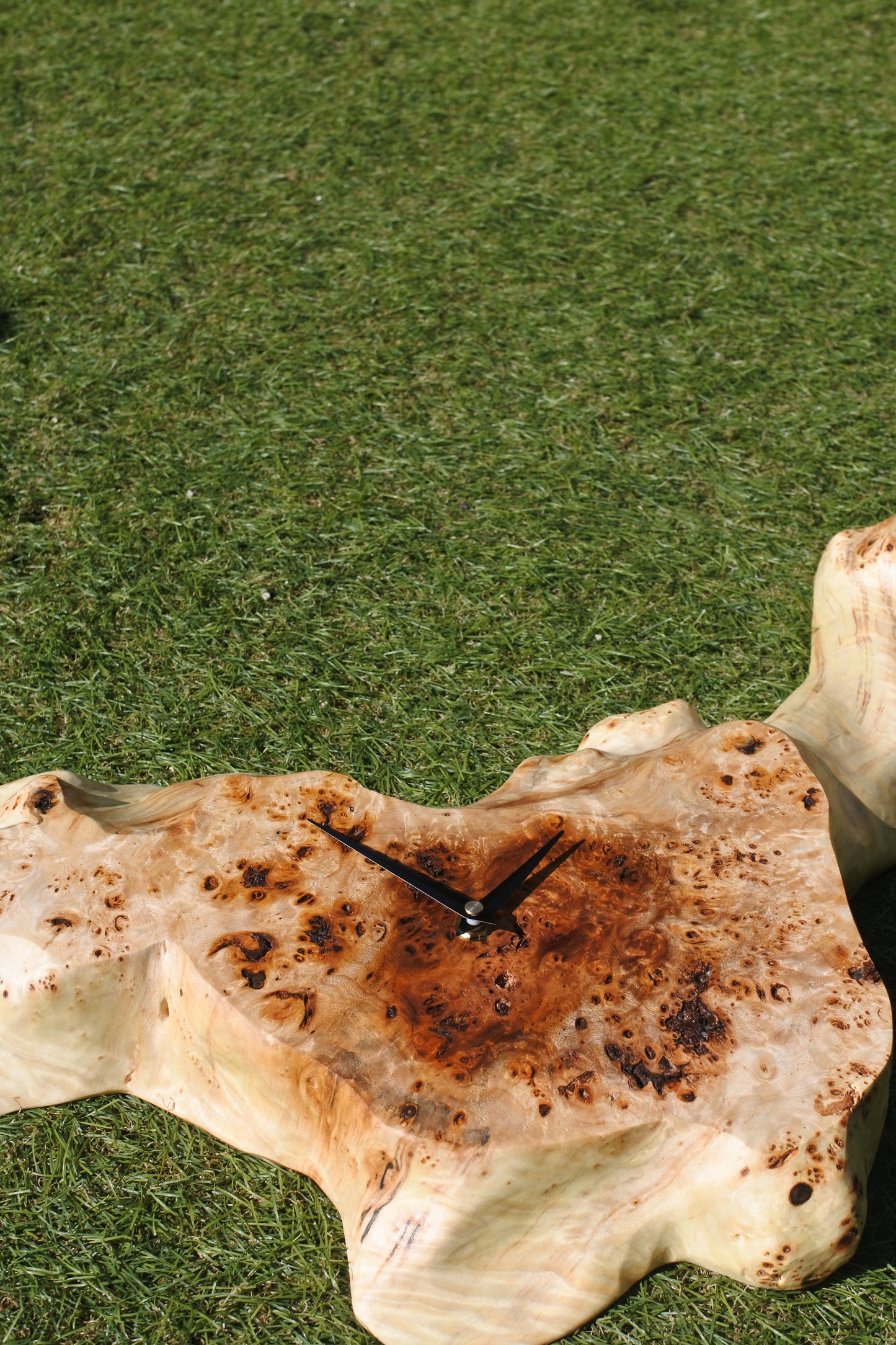 瘤杢ポプラ|一枚板時計