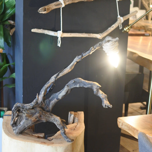 流木ランプ