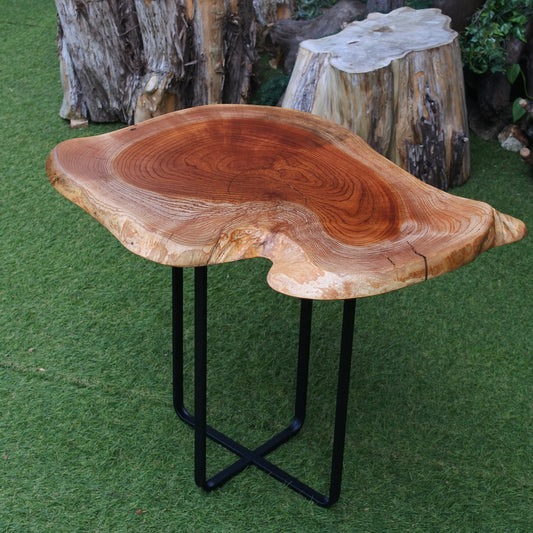 53.ケヤキ 輪切り|ミニテーブル