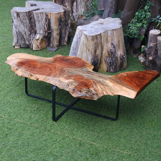 40.ケヤキ|ローテーブル