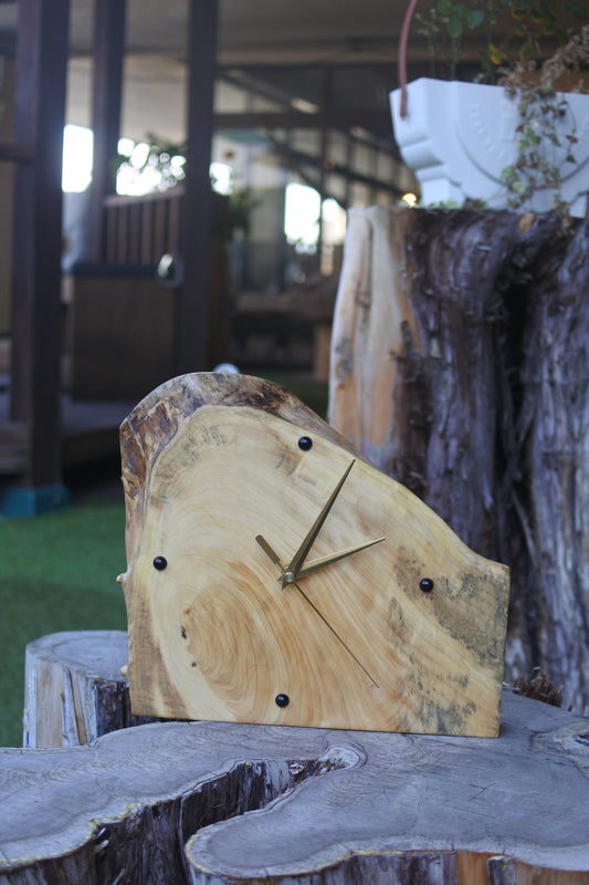 イチョウ|一枚板時計