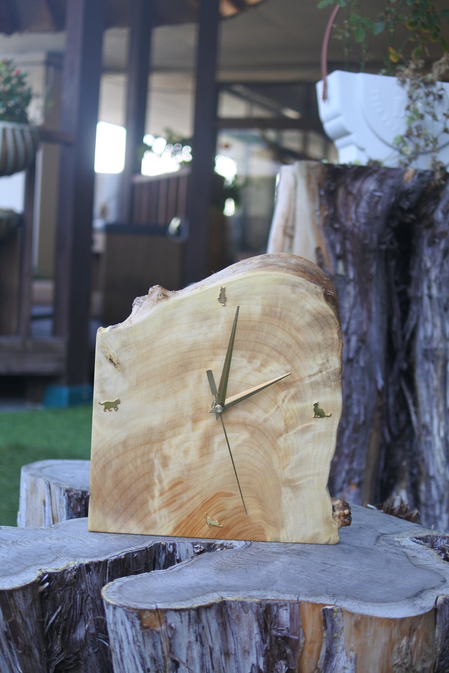 イチョウ｜一枚板時計