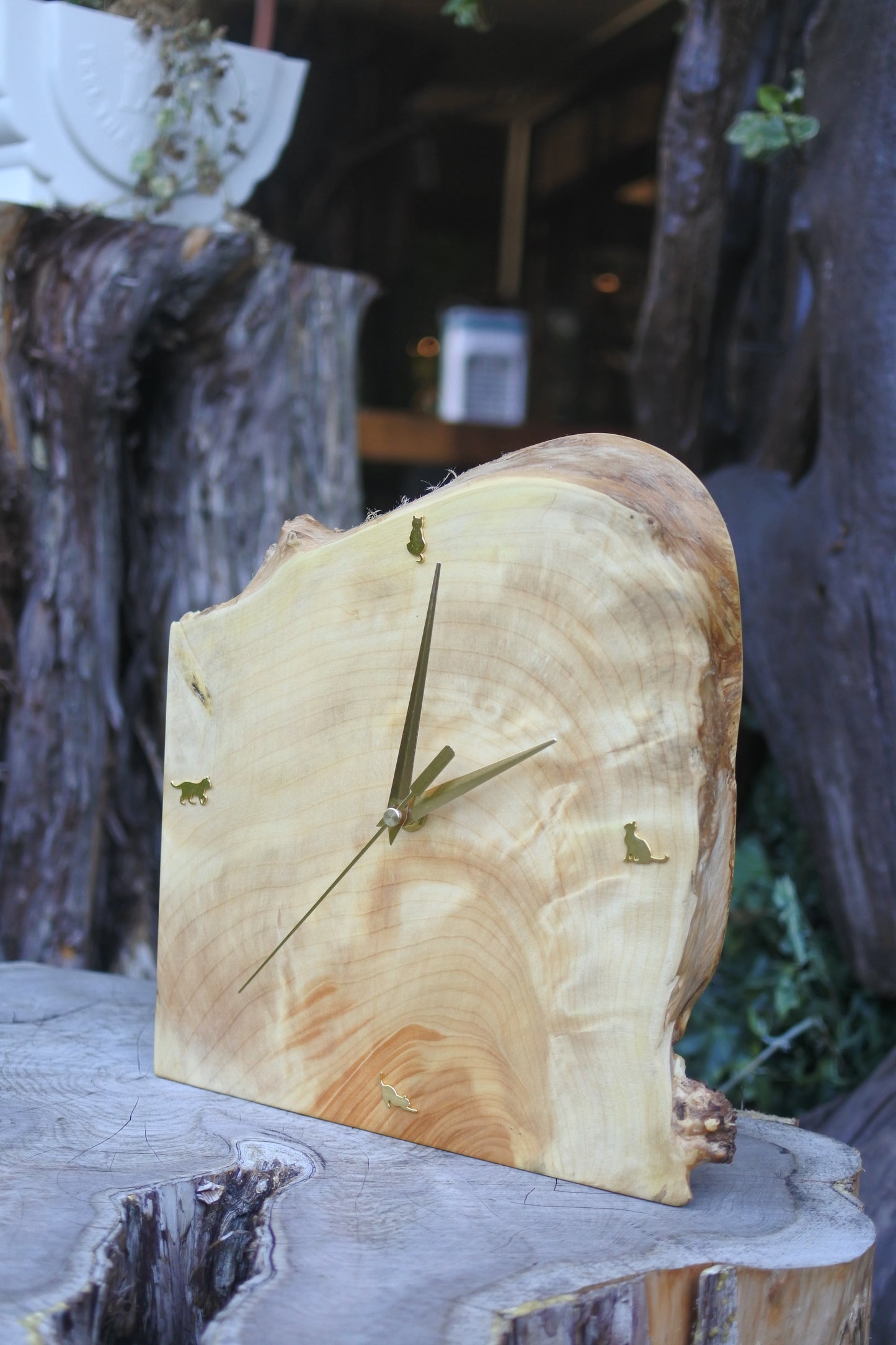 イチョウ｜一枚板時計