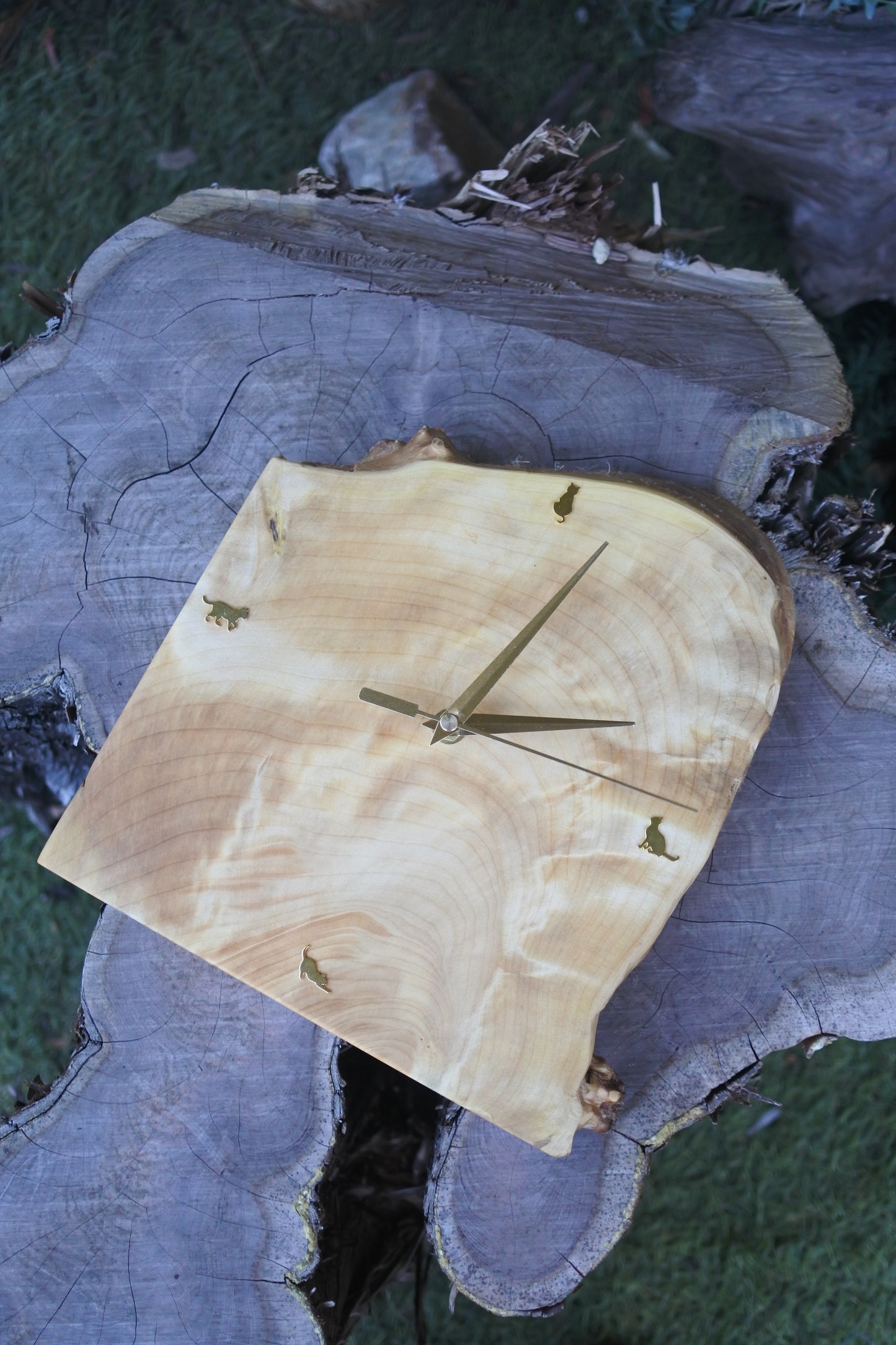 イチョウ｜一枚板時計