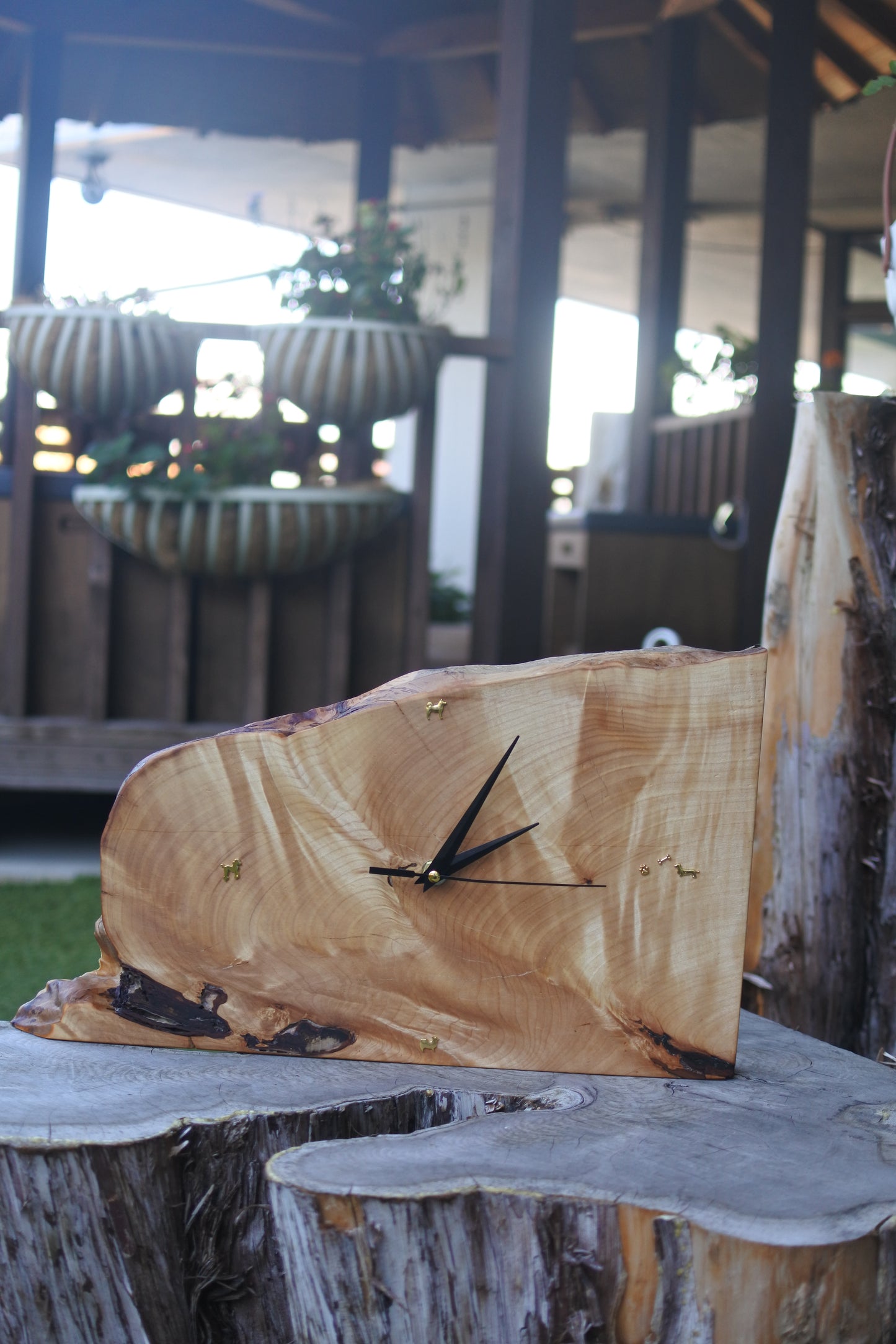 イチョウ｜一枚板時計