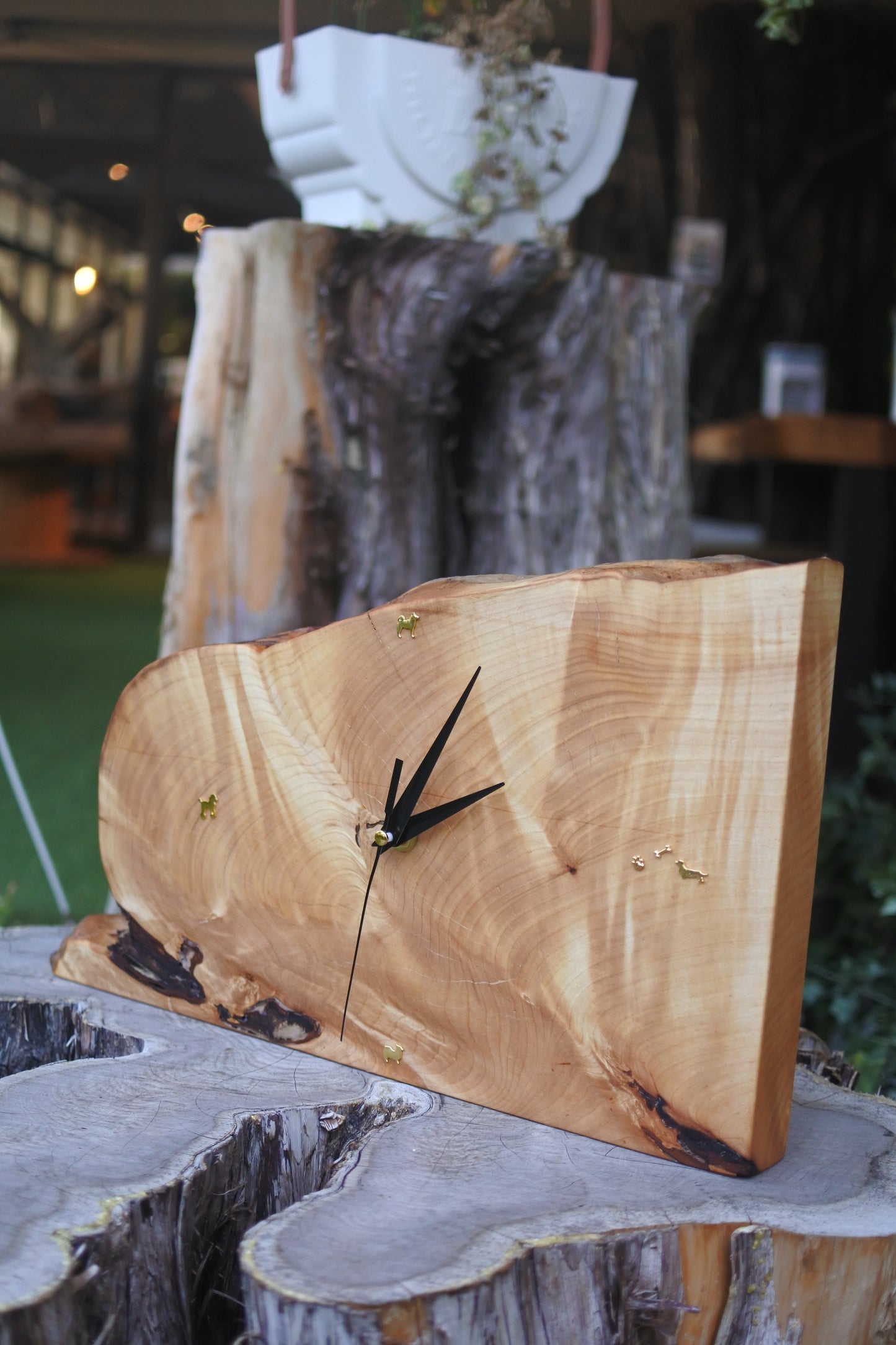 イチョウ｜一枚板時計